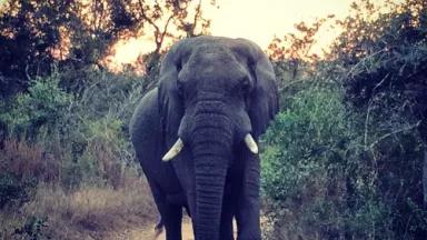 ellyphoto-namibia.jpg