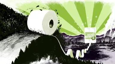 An illustration shows green sunrays rising from behind a mountain with a sign that reads "Eco Green" and large roll of toilet paper rolling over trees and mountains