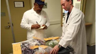 food inspectors at FDA courtesy fda.gov.jpg