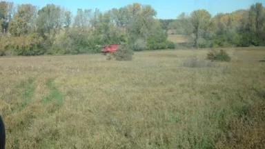 harvestblog1.jpg