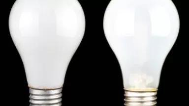 lightbulbs.jpg
