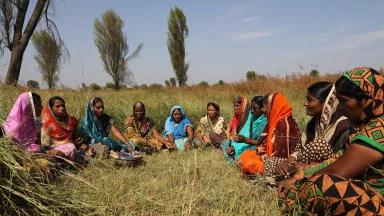 A group of women sit in a field in India