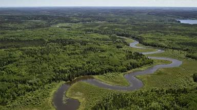 An aerial view of old growth boreal forest near Dryden in Northwestern Ontario, Canada