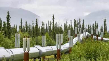A section of the Trans-Alaska Pipeline System.