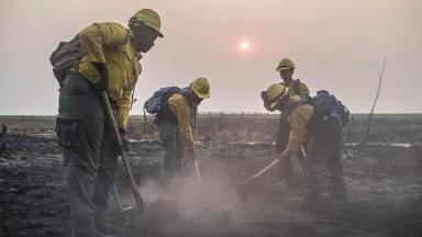 Four firefighters dig in ash-covered ground in front of a hazy landscape.