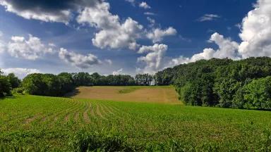 Field of cover crops in Pennsylvania