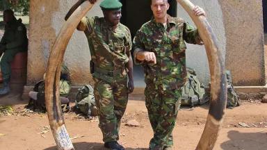 Officials holding elephant ivory