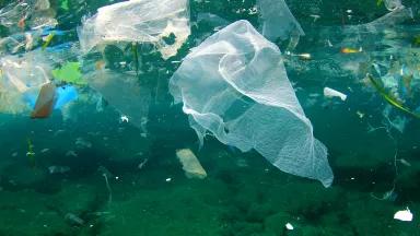 Bits of plastic waste float underwater