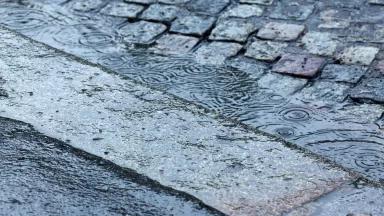 Rainwater puddles on pavement