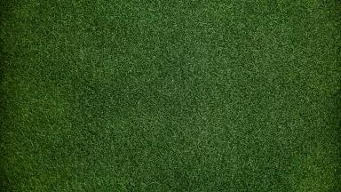 Astroturf