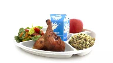 compostable lunch plates
