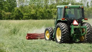 A roller crimper on front of tractor mowing down cover crop so it can be incorporated in the soil