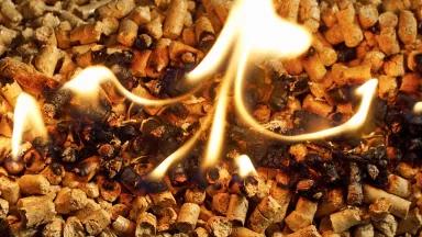 A pile of small wood pellets with a flame burning at the center
