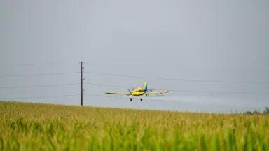 A small yellow plane sprays pesticides over a farm