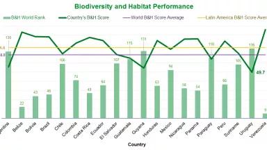 Biodiversity and Habitat