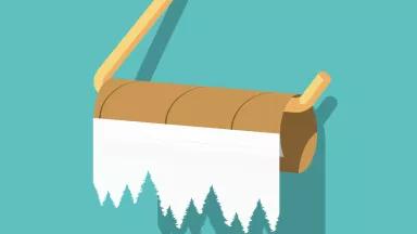 Image of trees in a roll of toilet paper