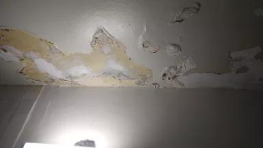 Cracked and bubbling paint in a Meltzer Towers' apartment in the East Village, August 2017.