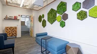 A series of hexagon-shaped frames hold small green plantings on an office wall