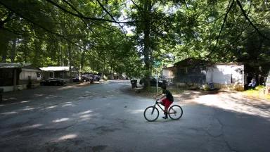 A child rides a bicycle on a paved lot surrounded by trees