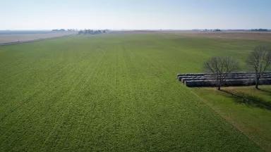 cover crops Lehman farm Iowa