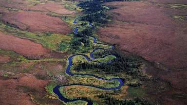 Bristol Bay Region