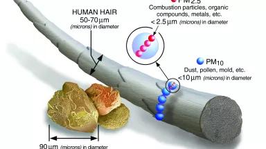 Graphic comparing the size of fine particulate pollution to a human hair.