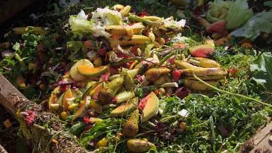 The image displays a pile of food waste suitable for composting.
