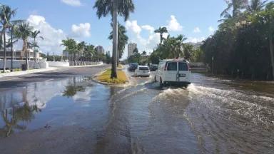 Fort Lauderdale South Florida King Tide Climate Change