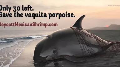 www.BoycottMexicanShrimp.com