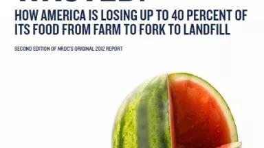 Report Wasted: How America is losing up to 40 percent of its food from farm to fork to landfill.