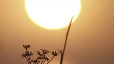 origin_7793564866_Sun.jpg