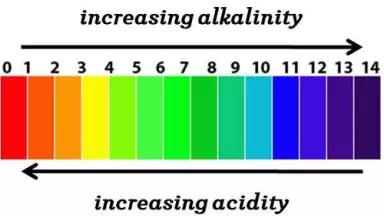 pH_scale.jpg