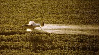 pesticideplane.jpg