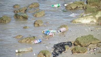 plastictrash_mink.jpg