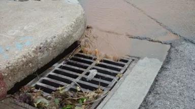 runoff3.jpg