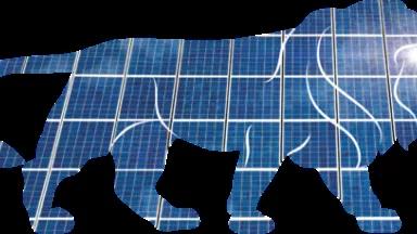 sectors-renewable-energy-icon.png