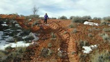 seismic tracks damage