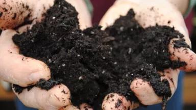 soil hands flickr.jpg