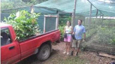 trees on truck.JPG