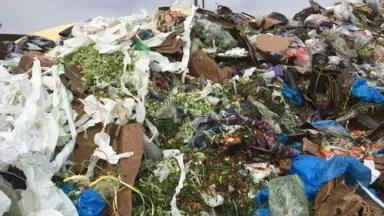 waste jb blog.jpg