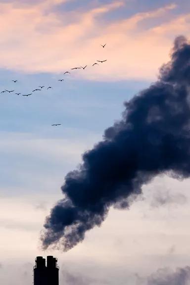 A smokestack spewing smoke