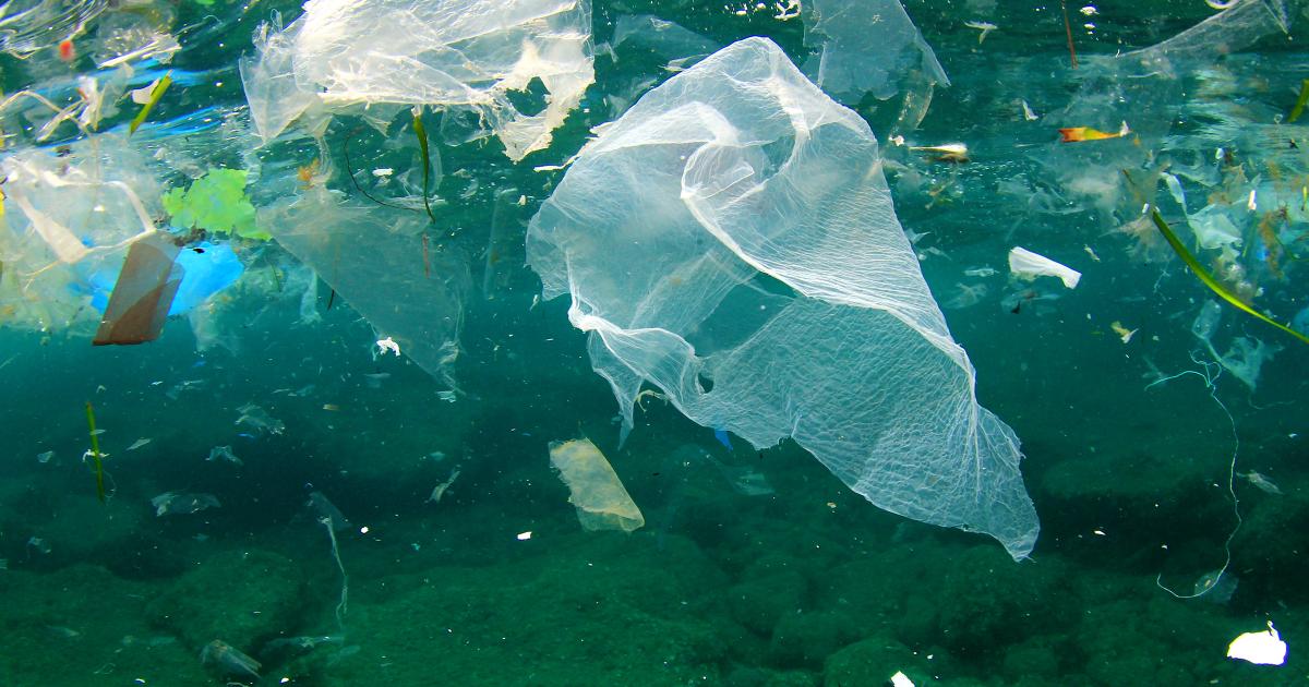 Top Facts about Recycling Plastic Bags and Other Environmental Issues