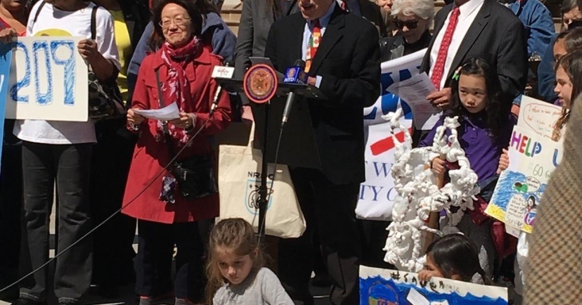 New York City Poised to Adopt Plastic Bag Fee to Curb Street Litter and ...