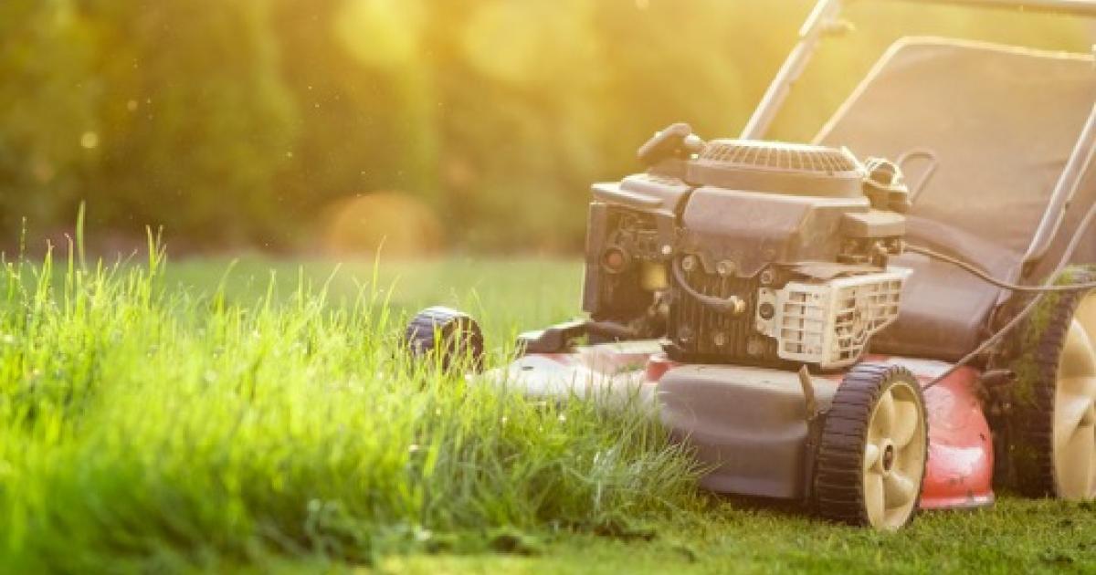 time-for-governor-hochul-to-sign-the-lawn-mower-rebate-bill