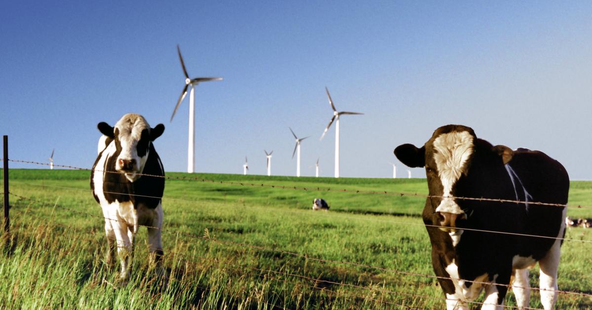 View of Renewable Energy Brings Economic Boost to Rural Communities