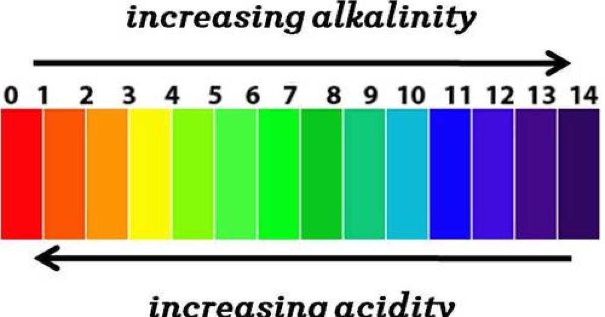 Can we keep discussions about ocean acidification honest?