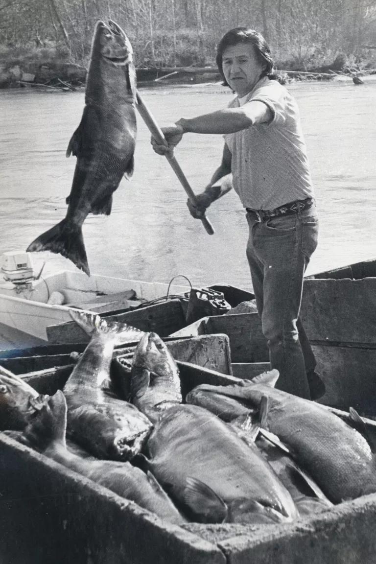 Black and white photo of Billy Frank Jr. standing on a dock holding a speared salmon above a bin of fresh-caught salmon