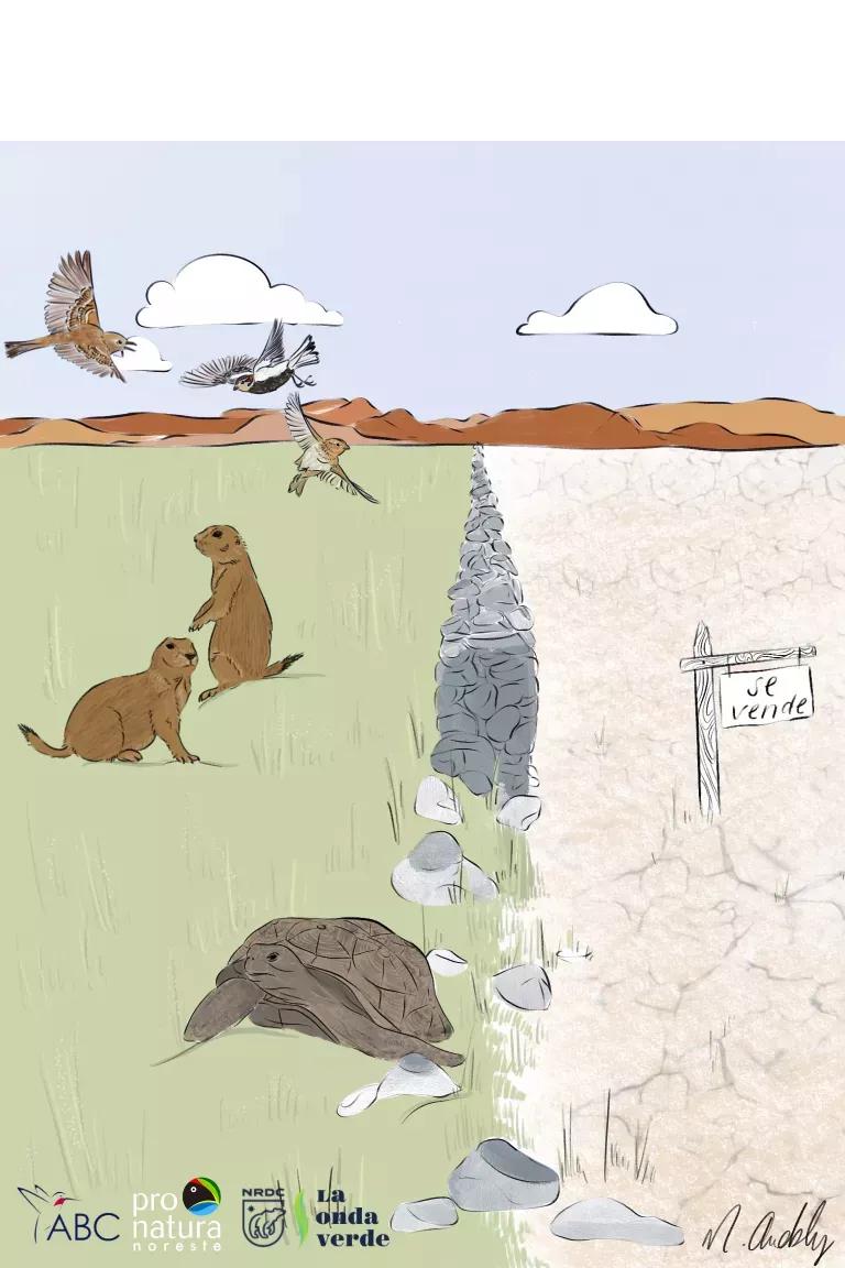 An illustration of animals on the left side on green grounds, on the left is parched land 